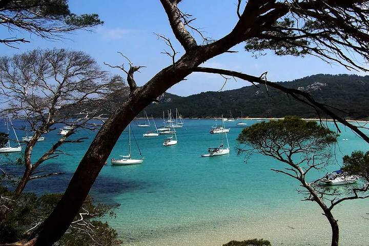 Camping für 5 Personen in Hyeres