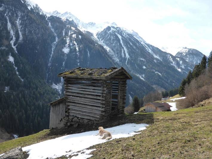 Chambre d’hôte pour 3 personnes, avec vue ainsi que balcon et vue sur le lac à Neustift im Stubaital - 4