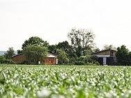 Ferienhaus für 7 Personen, mit Balkon und Balkon/Terrasse sowie Garten in Unterfranken