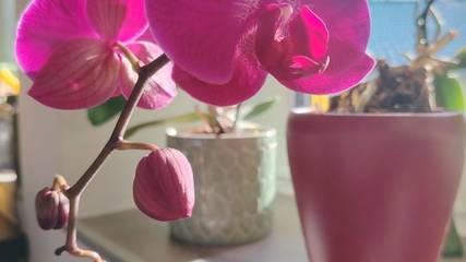 Ferienwohnung für 4 Personen, mit Ausblick in Bad Ischl