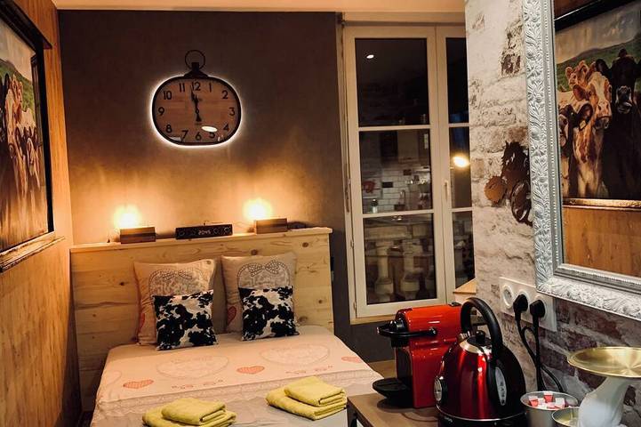 Appartement entier, ★Studio Marguerite Cow★ Coeur centre ville  Wifi fibre - Netflix - tout équipé ! in Dole, Jura