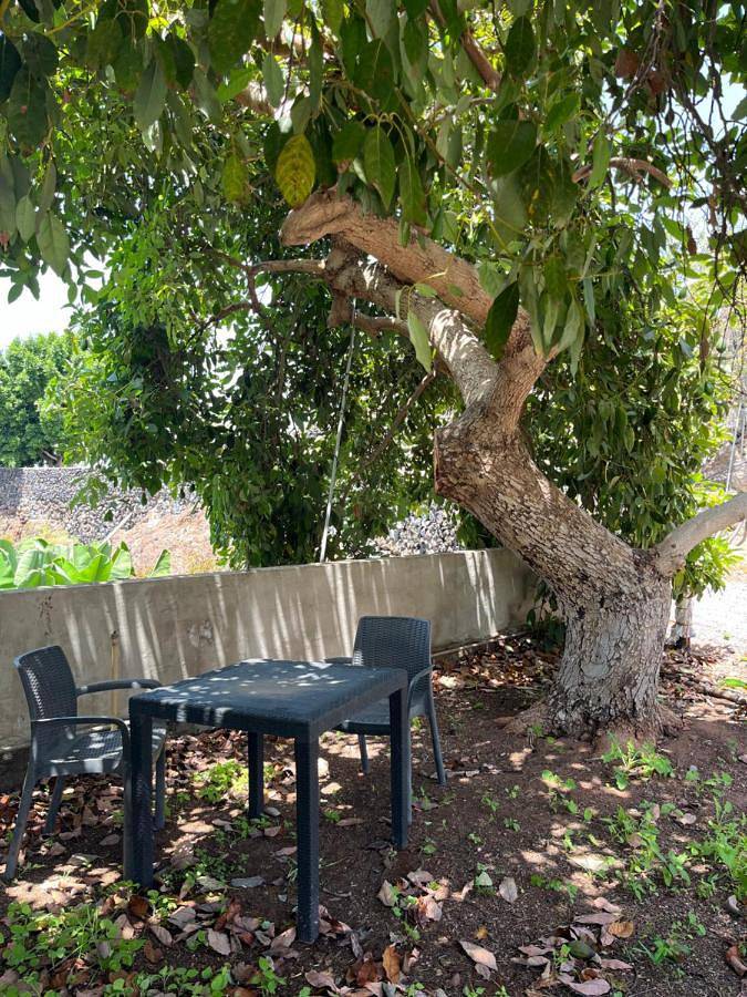 Casa rural para 2 personas, con vistas y jardín en Guía de Isora - 4