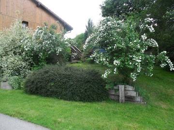 Gîte pour 3 personnes, avec vue et jardin à Docelles