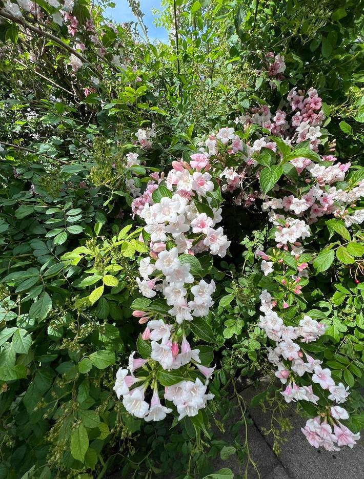 Ferienwohnung für 2 Personen, mit Balkon/Terrasse und Terrasse, kinderfreundlich in Landkreis Rosenheim - 3