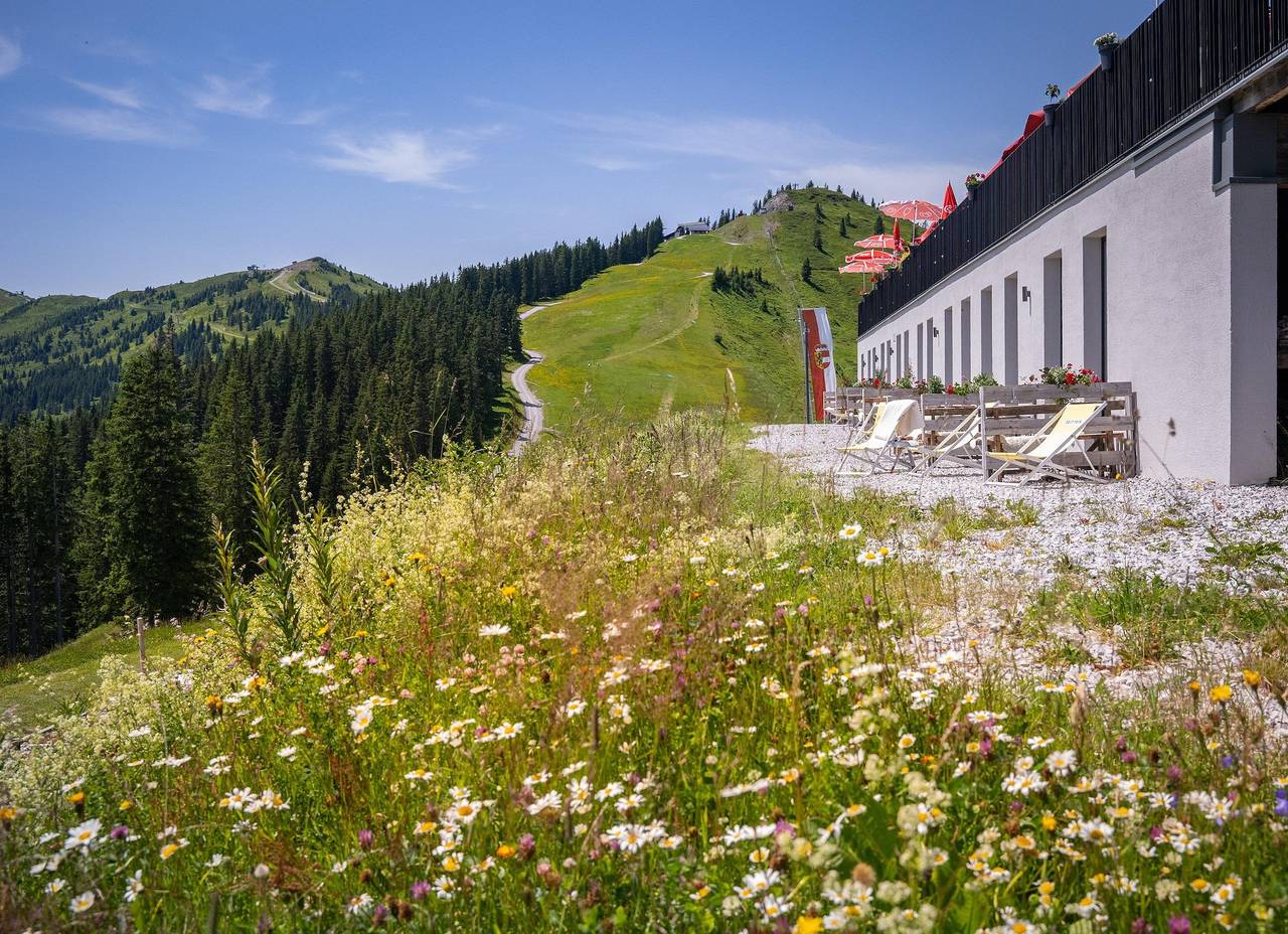 Ganze Ferienwohnung, Doppelzimmer mit Frühstück&amp;Abendessen in Zell am See, Kitzbüheler Alpen
