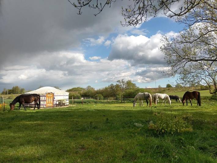 Camping für 4 Personen, mit Sauna und Ausblick sowie Garten in Vorpommern