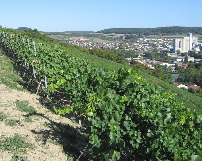 Pension für 2 Personen in Franken - 2