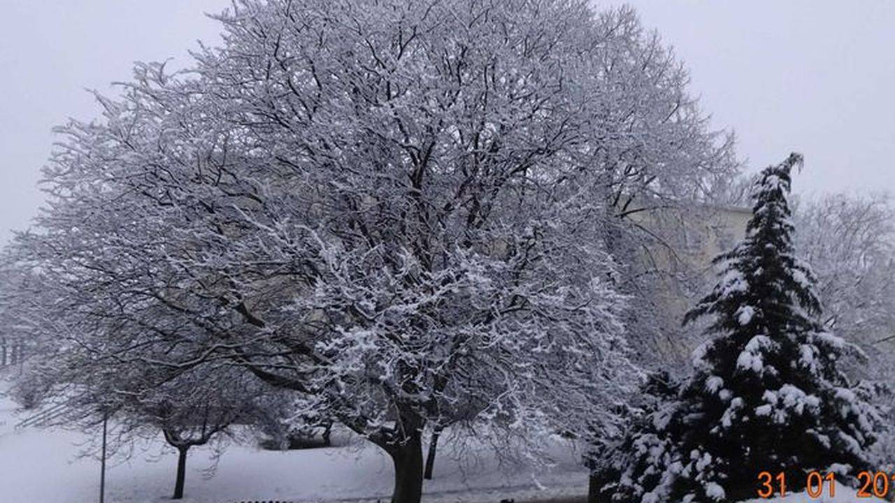 Ferienhaus für 2 Personen (55 m²) in Basedow in Malchiner See, Basedow