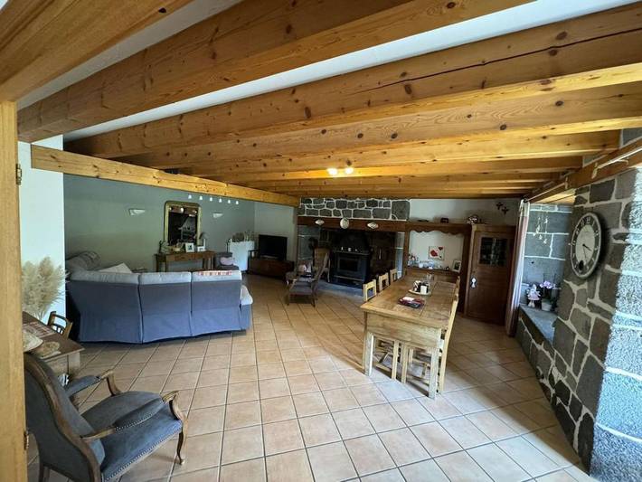 Location de vacances pour 12 personnes, avec vue et terrasse à La Chapelle-d'Alagnon - 4
