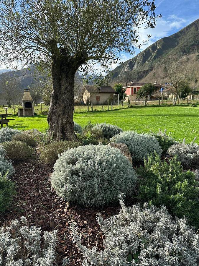 Casa rural para 5 personas, con jardín y vistas en Parres - 4