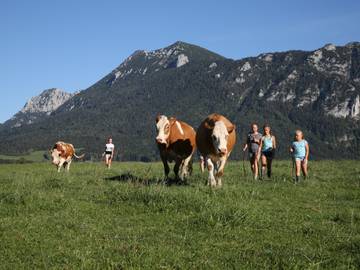 Vakantiehuis voor 4 Personen in Inzell, Beierse Alpen, Afbeelding 4