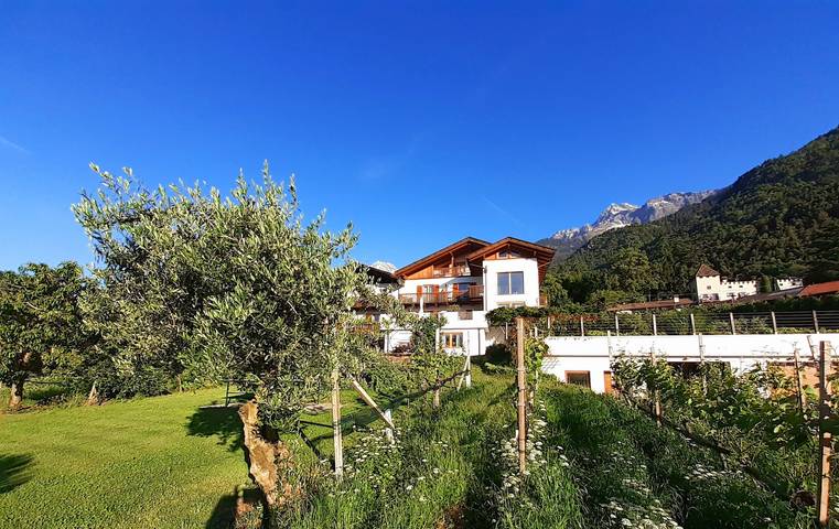 Ferienhaus für 4 Personen, mit Garten in Trentino-Südtirol - 3