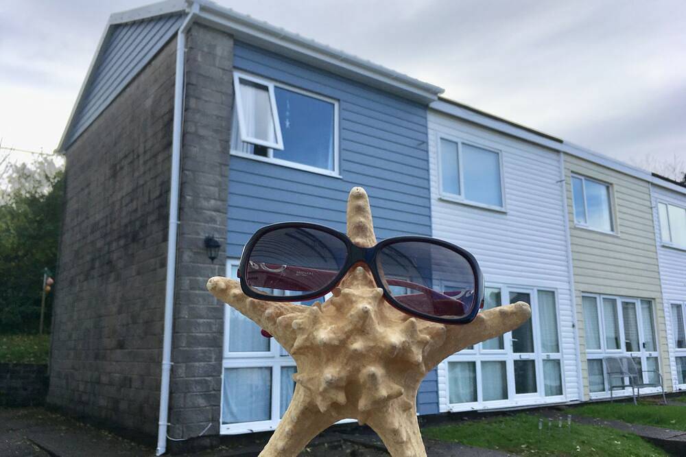 Stella Marina: Enjoy a summer of free range fun! in Freshwater East, Pembrokeshire