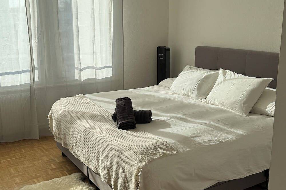 Entire apartment, 5th floor, charming 2-bedroom apartment , Centre of Geneva in Eaux-Vives, Genève