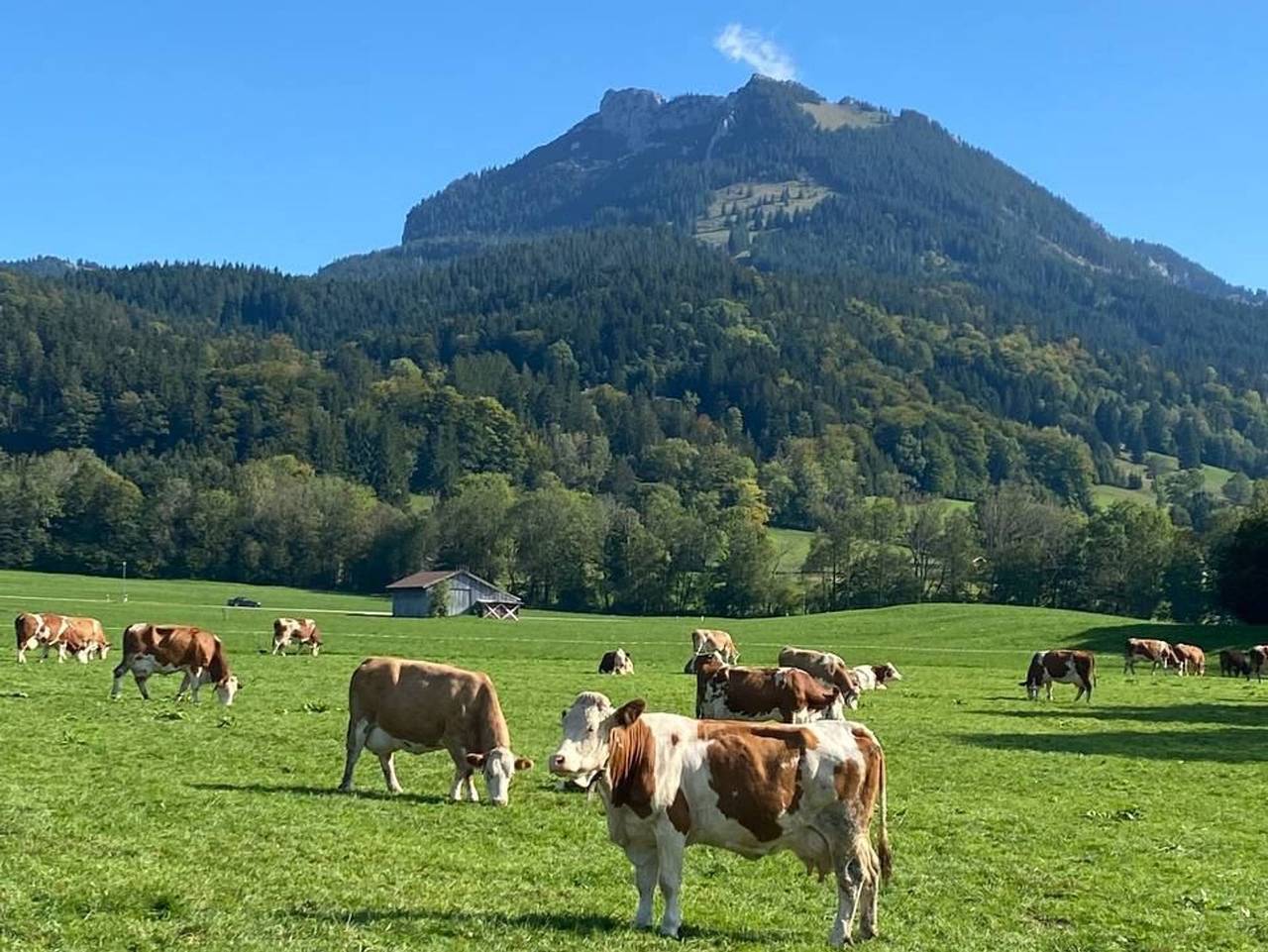 Ganze Ferienwohnung, Ferienwohnung Bergzeit - Zollner Priska - Wendelstein in Fischbachau, Bayerische Alpen