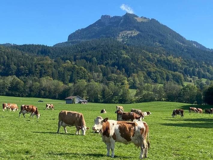 Ganze Ferienwohnung, Ferienwohnung Bergzeit - Zollner Priska - Breitenstein in Fischbachau, Bayerische Alpen