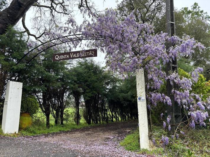 Chalet para 8 personas, con vistas además de jardín y piscina en Coimbra - 2