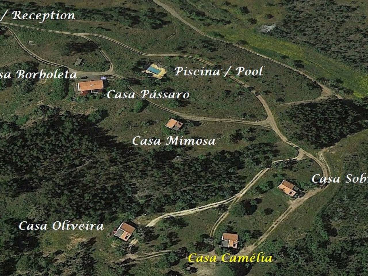 Monte Horizonte Casa Camelia Öko und Natur in Santiago do Cacém, Santa Cruz e São Bartolomeu da Serra, Alentejo Litoral