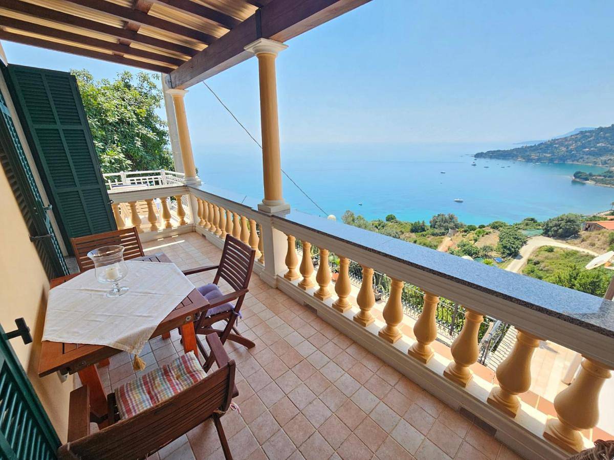Avocado in Latte (Ventimiglia), Ventimiglia
