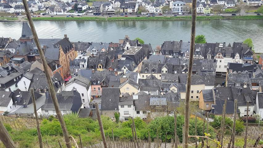 Ferienwohnung für 6 Personen, mit Terrasse und Garten in Zell Stadt (Mosel) - 2
