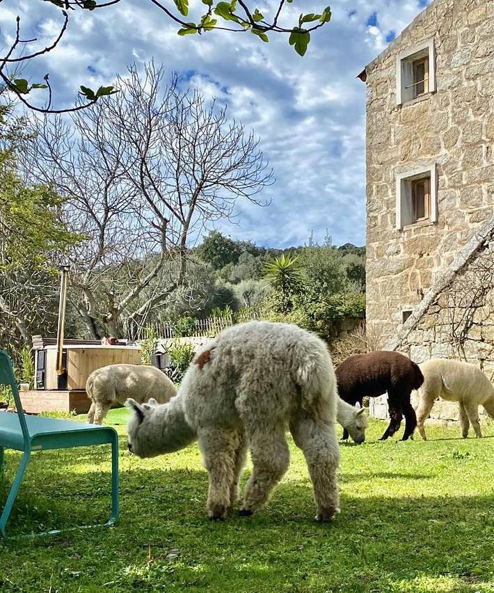 Hôtel pour 2 personnes, avec vue et terrasse ainsi que jardin et piscine