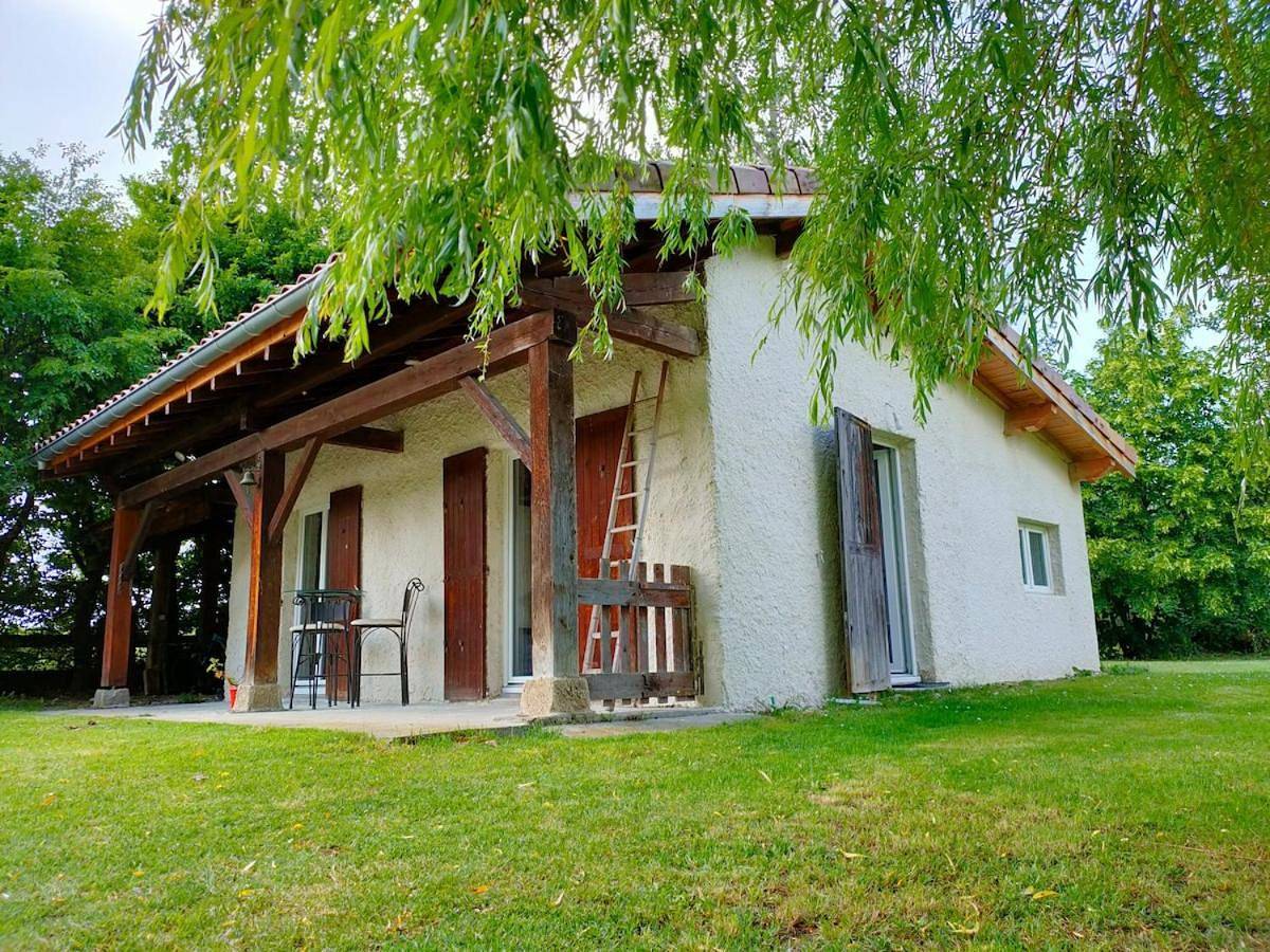 Réveil au chant des Oiseaux in Chalain-le-Comtal, Montbrison