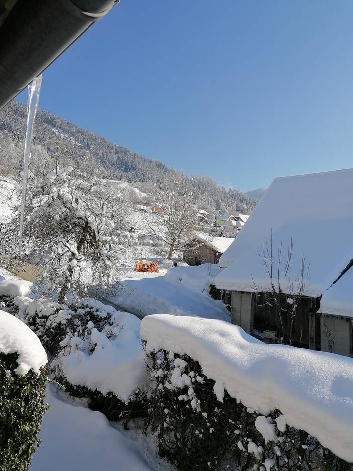 Bauernhof für 5 Personen, mit Garten, kinderfreundlich in Kärnten - 3