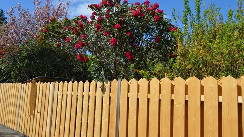 Ferienwohnung für 4 Personen, mit Terrasse und Garten in Emden - 2