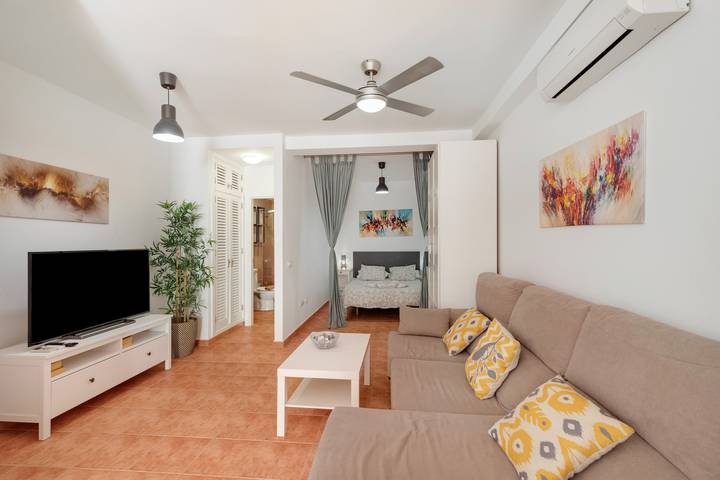 Studio für 4 Personen, mit Haustier in Puerto de Mogan - 3