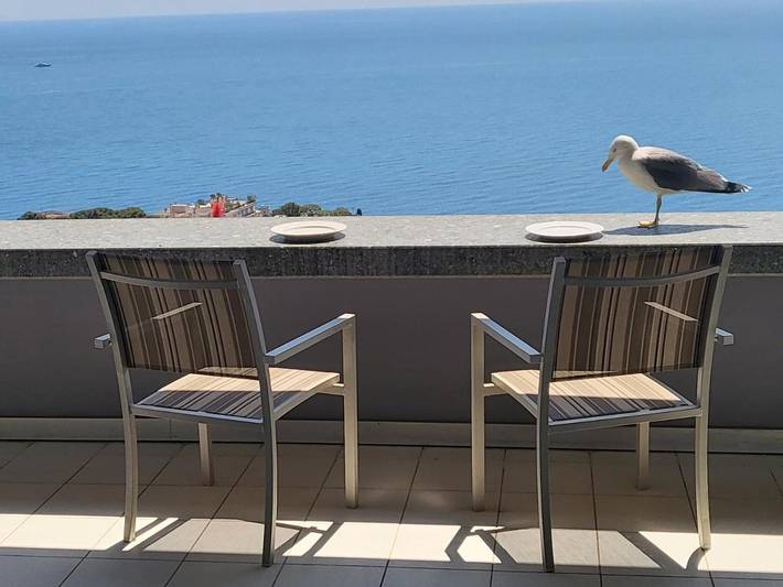 Gîte pour 5 personnes, avec jardin et piscine ainsi que vue et bassin pour enfant à Cap-d'Ail - 3