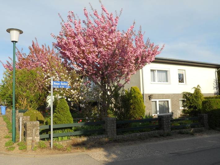 Ferienwohnung für 4 Personen, mit Garten, kinderfreundlich in Kröpelin