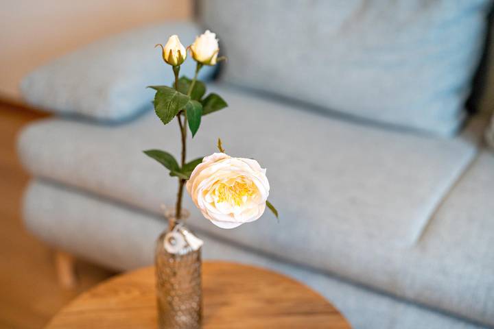 Ferienwohnung für 3 Personen, mit Garten und Sauna, mit Haustier in Freudenstadt - 2