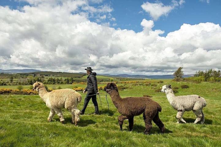 Cottage for 2 people in County Wicklow
