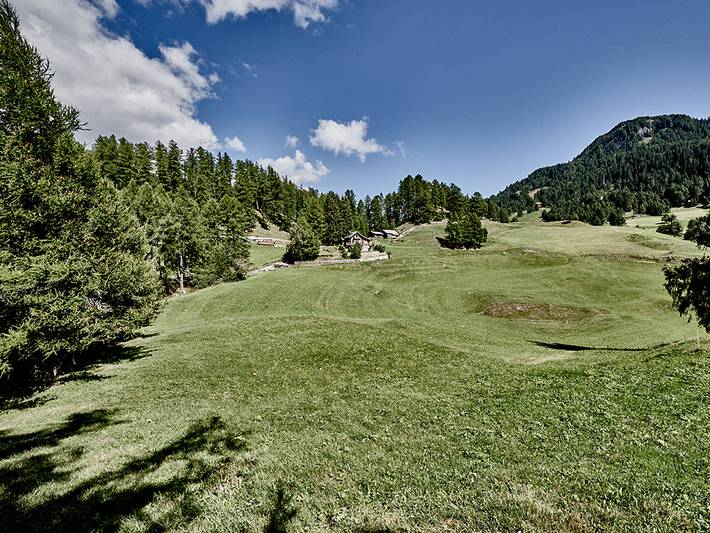 Ganze Ferienwohnung, Chalet Lieuretta da Tscharfs - Lieuretta da Tscharfs A / 4-Bettwohnung in Feldis/Veulden, Domleschg