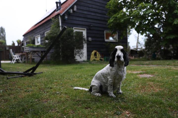 Maison d’hôte pour 2 personnes, avec jardin et vue, animaux acceptés aux Pays-Bas - 3
