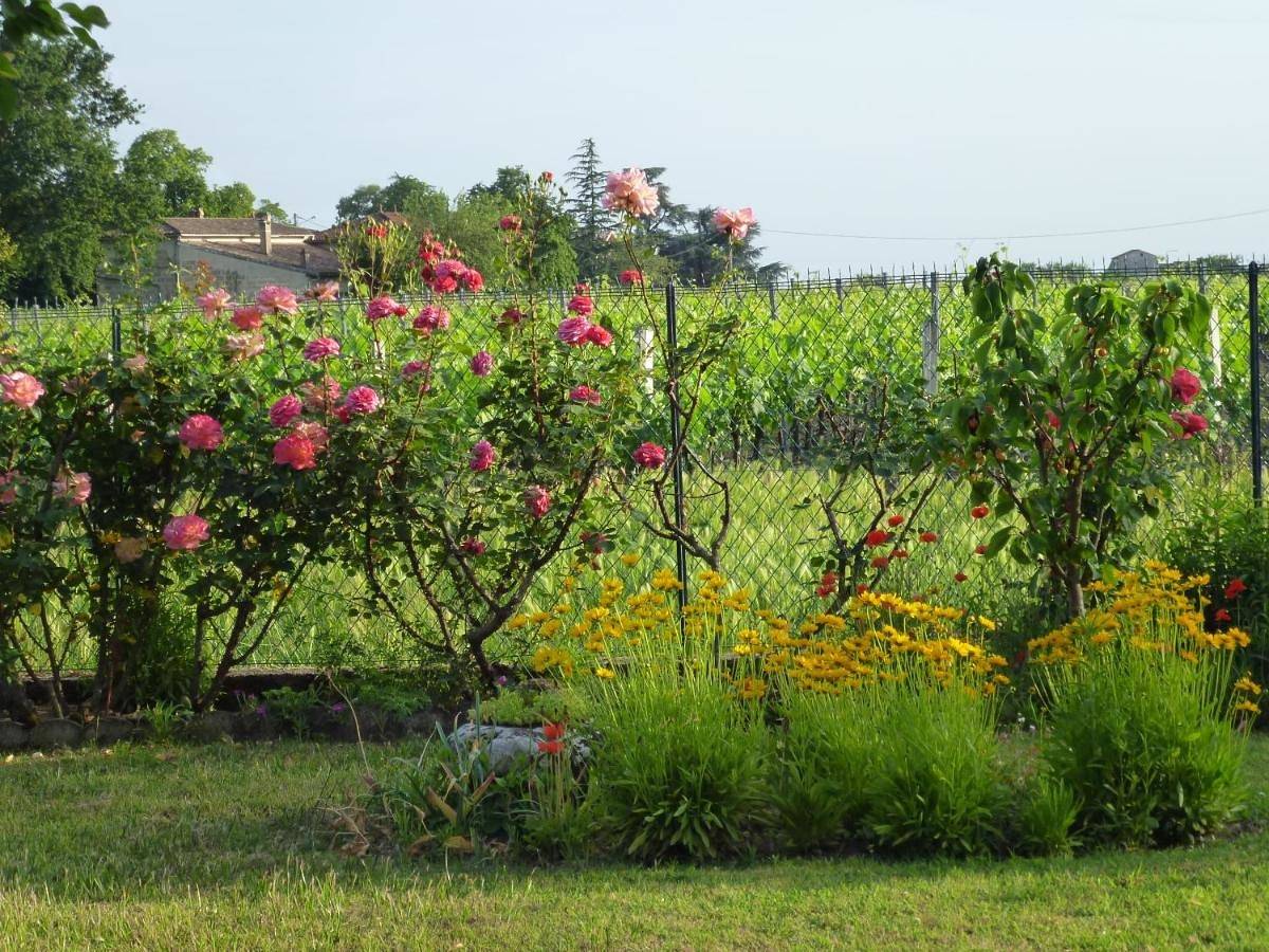 Le Clos des Rosiers in Saint-Émilion, Région de Libourne