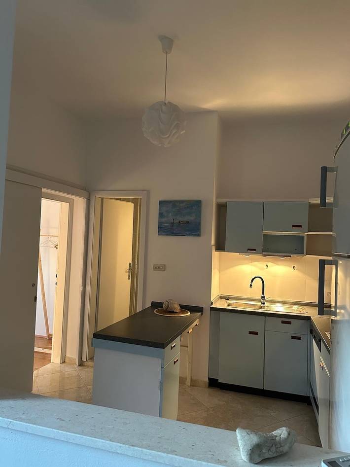 Ganze Wohnung, 1-Zimmer-Ferienwohnung mit Terrasse und Meerblick Novigrad -a in Novigradsko More, Zadar