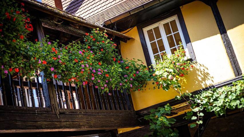 Hôtel pour 4 personnes, avec jardin ainsi que terrasse et sauna à Kientzheim - 3