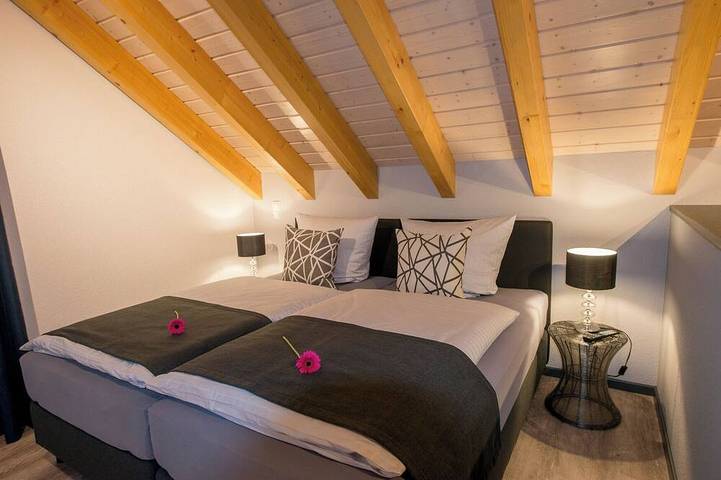 Ganze Wohnung, 5* Dachloft mit Dachterrasse zum Genießen /1-4 P/ Gartennutzung/Parken/Stadtnähe in Bensheim, Bergstraße