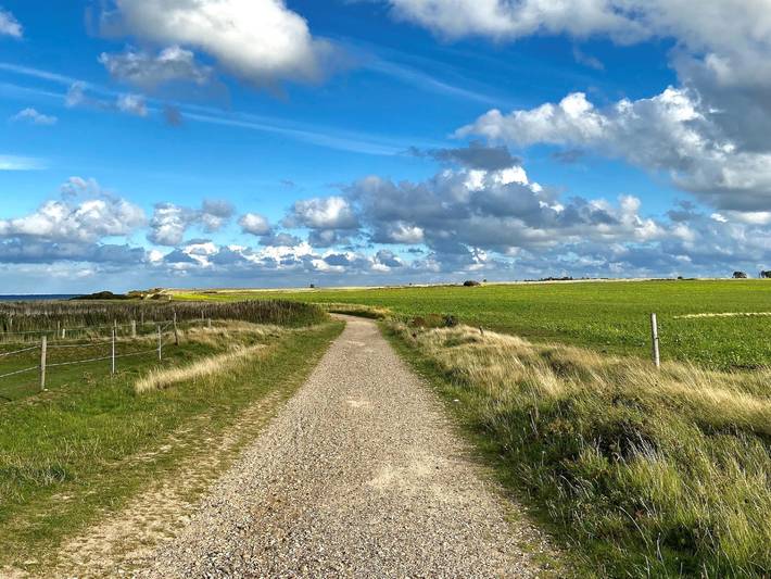 Ferienhaus für 2 Personen, mit Terrasse und Balkon/Terrasse auf Amrum - 4