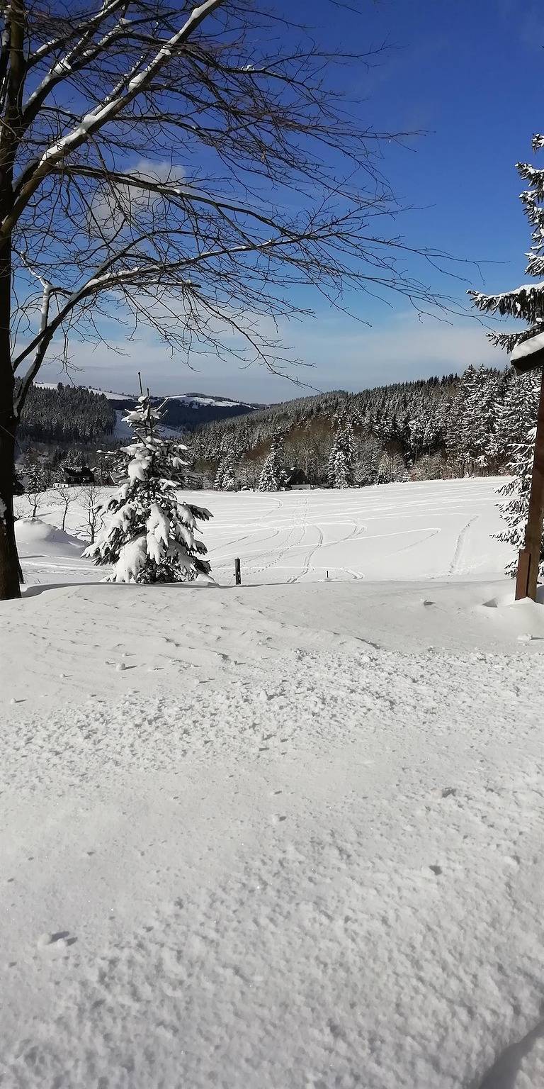 Ganze Ferienwohnung, Doppelzimmer mit Aufbettung im Gästehaus in Altenberg, Mittlere Erzgebirge