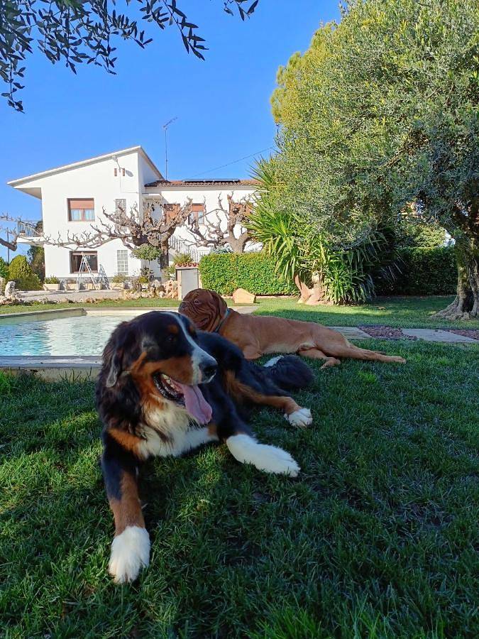 Location de vacances pour 14 personnes, avec jardin ainsi que vue et piscine, adapté aux familles dans San Martin Sarroca - 2