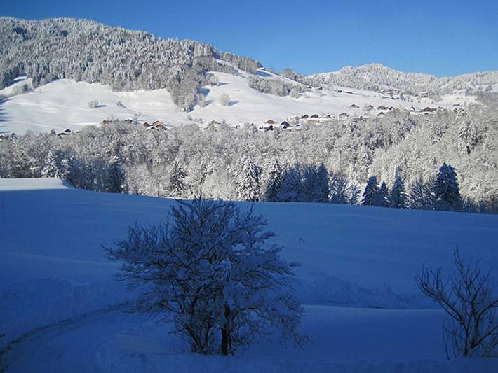 Ferienwohnung für 4 Personen, mit Garten und Sauna im Bregenzerwald - 4