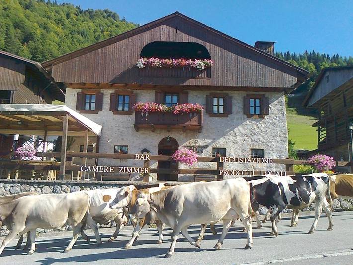 Casa vacanza per 2 persone, con Terrazza e Panorama a Sauris