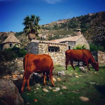 Casa Vacanza per 4 Persone in Tarifa, Los Alcornocales, Foto 1