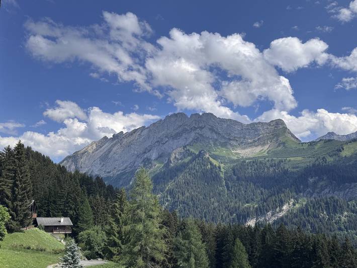 Appartement entier, Arsets 306.12 - charmant et confortable 2.5 pièces avec vue sur les montagnes in Gryon, Alpes Vaudoises