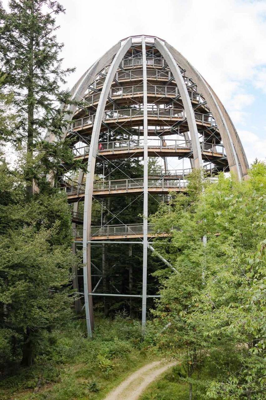 Landhotel-Gasthof-Schreiner in Hohenau, Ostbayern