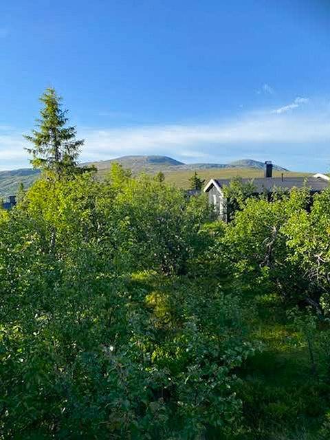 Original Trybo hytte ved Trysilfjellet in Trysilfjellet, Trysil 