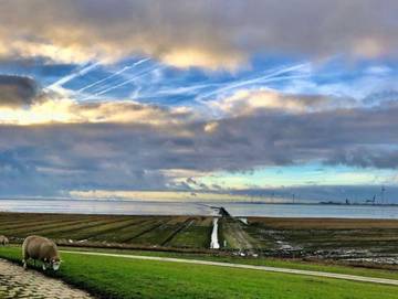 Ferienhaus für 4 Personen in Jemgum, Nordseeküste, Bild 4