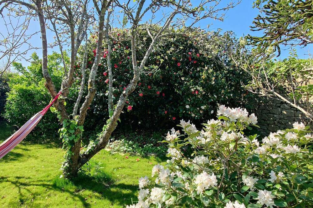 Haus mit wildem Garten \"Pointe du Raz\" in Pointe du Raz, Plogoff
